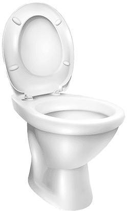 Why You Should Never Use Bleach to Clean a Toilet
