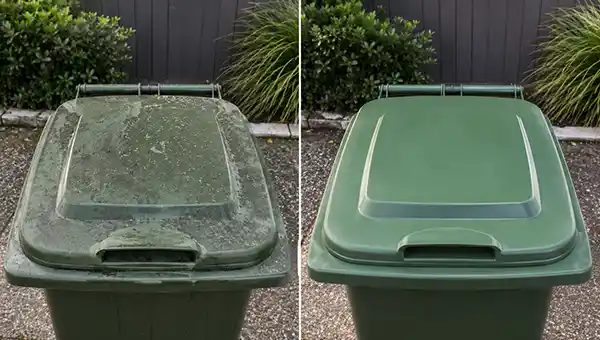 Before and after bin images showing how clean the bin can be.