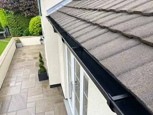 Independent roof cleaning professional discussing moss removal and exterior property care